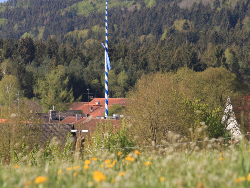 Blick auf Egling, blühende Wiese im Vordergrund